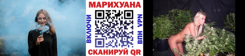 Шишки марихуана конопля Купить где Сегежа